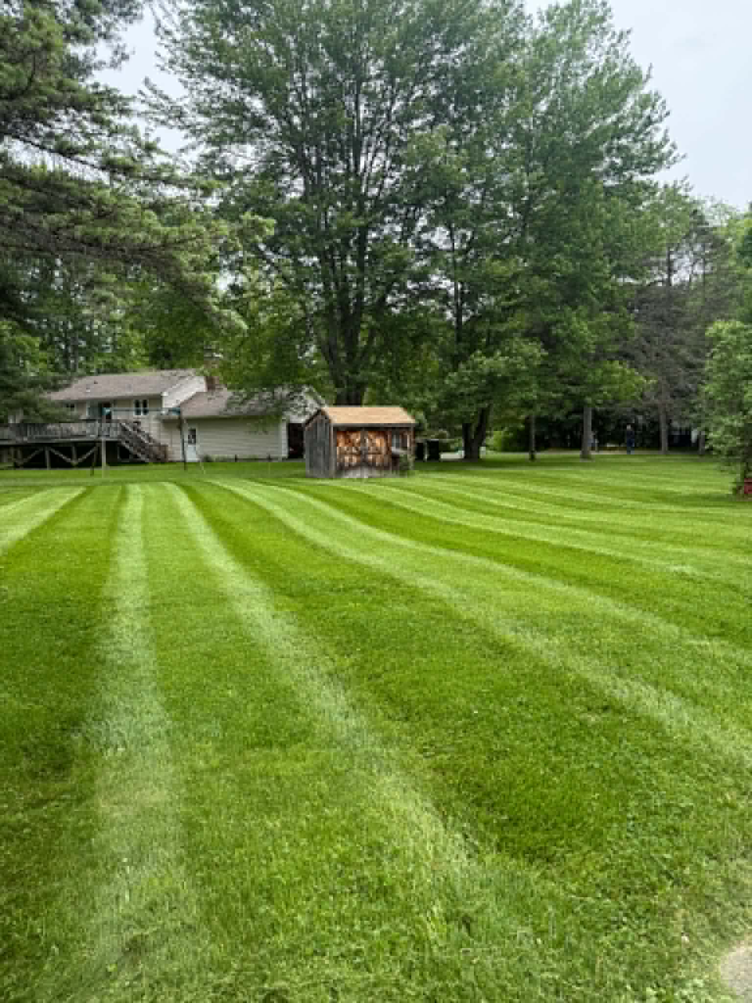 Fresh residential lawn with crisp mowing stripes