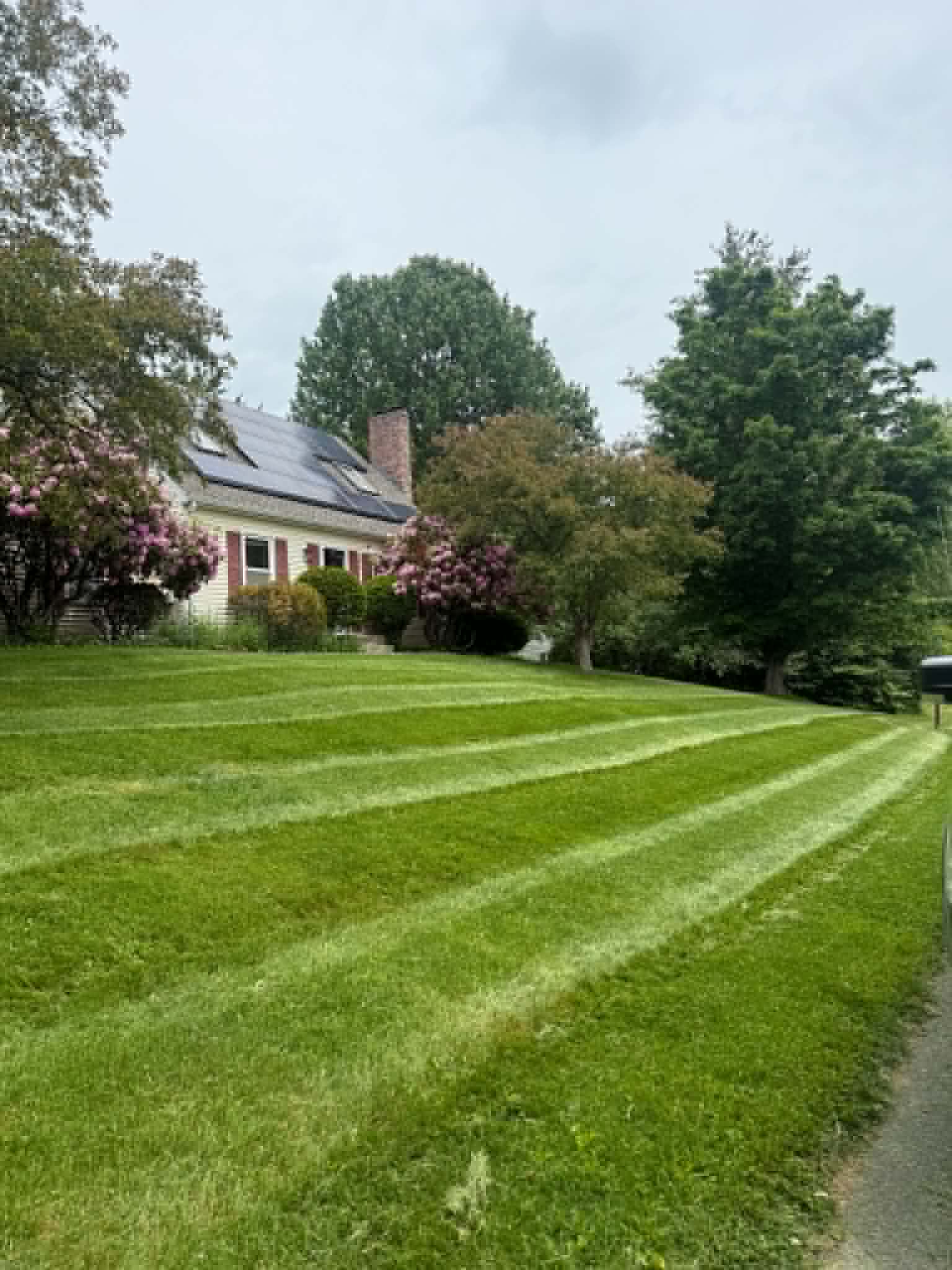 Clean residential front lawn with neat mower lines