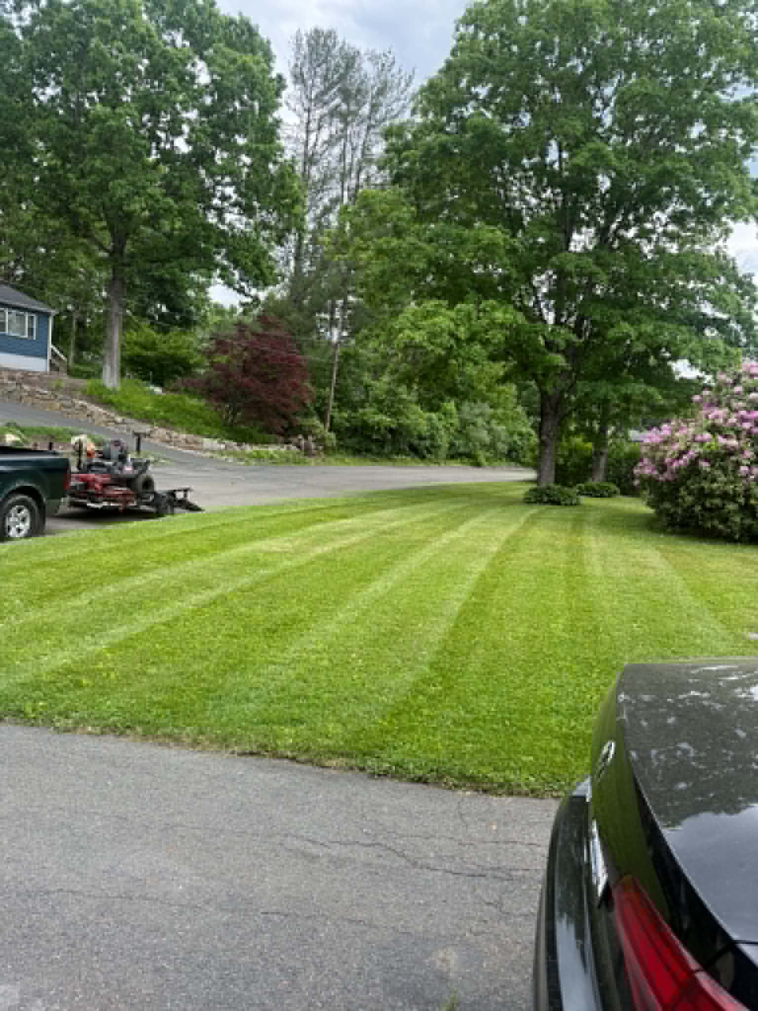 Fresh lawn stripes beside a driveway and trimmed yard
